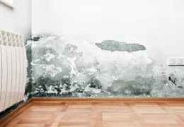 Mold and moisture buildup on wall of a modern house