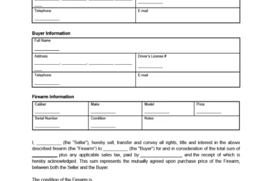 Firearm Bill of Sale Form Example