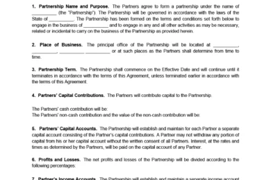 Partnership Agreement example form
