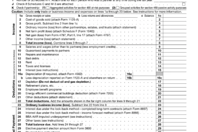 Form 1065 for giving the return of US partnership income