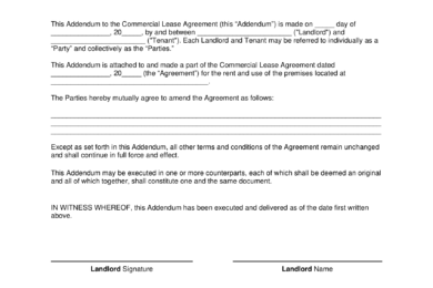 Commercial Lease Addendum