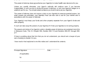 Delaware Durable Statutory Power of Attorney Form