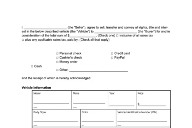 Delaware vehicle bill of sale