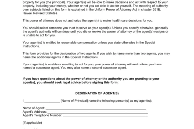 Hawaii Durable Statutory Power of Attorney Form