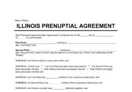 Illinois Prenuptial Agreement Template