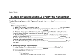 Illinois Single Member LLC Operating Agreement Form