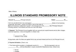 Illinois Standard Promissory Note Template