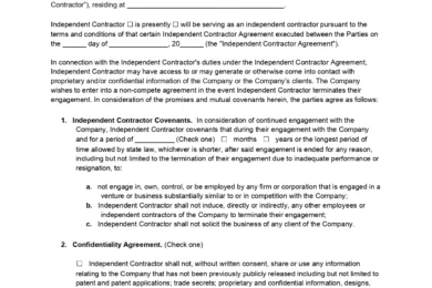 Independent Contractor Non-Compete Agreement Sample