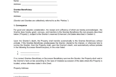 Lady Bird Deed form