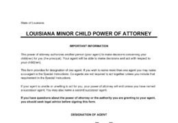 Louisiana Minor Child Power of Attorney Form