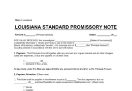 Louisiana Standard Promissory Note Template