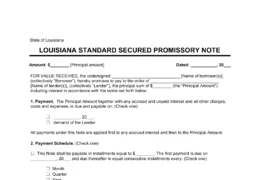 Louisiana Standard Secured Promissory Note Template