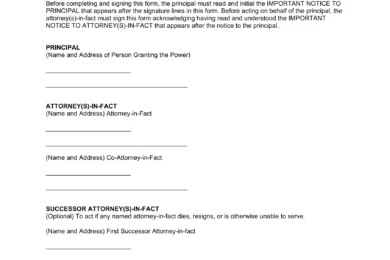 Minnesota Durable Statutory Power of Attorney Form