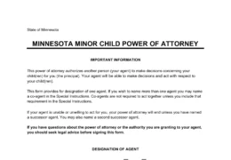 Minnesota Minor Child Power of Attorney Form