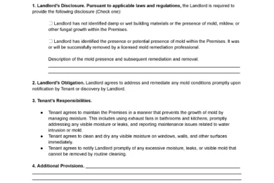 Mold Addendum Template