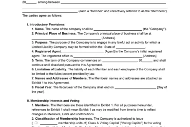 Multi-Member LLC Operating Agreement Form