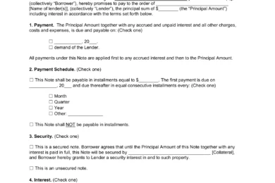 Nebraska Standard Promissory Note Template