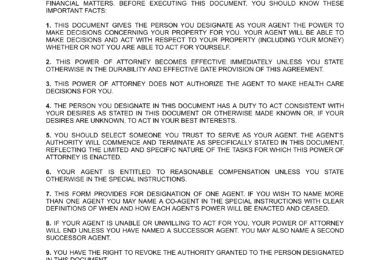Nevada Limited Power of Attorney Template