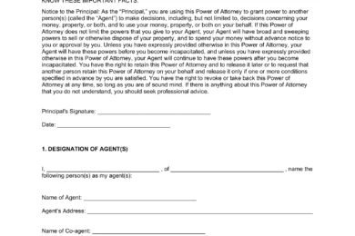 New Hampshire Durable Statutory Power of Attorney Form