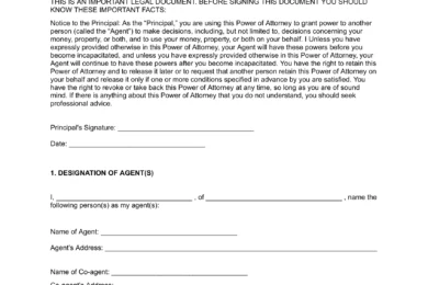 New Hampshire Limited Power of Attorney Template
