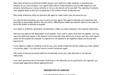 New Mexico Limited Power of Attorney Template