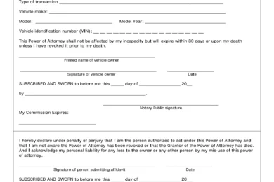 New Mexico Motor Vehicle Power of Attorney Form MVD-11020