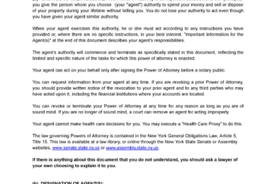 New York Limited Power of Attorney Template