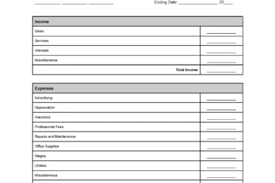 Profit and Loss Statement