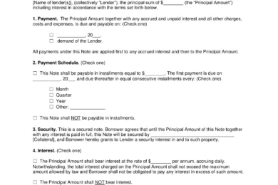 Rhode Island Standard Promissory Note Template