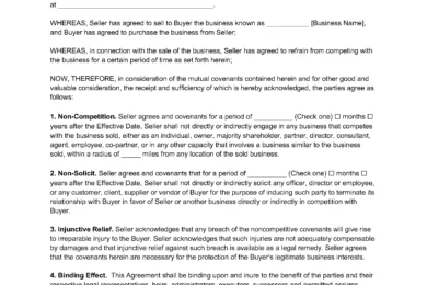 Sale of a Business Non-Compete Agreement