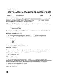 South Carolina Standard Promissory Note Template