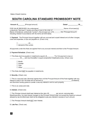 South Carolina Standard Promissory Note Template