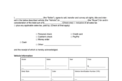 South Carolina vehicle bill of sale