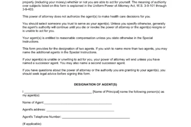 Wyoming Durable Statutory Power of Attorney Form