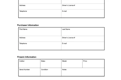 delaware firearm bill of sale