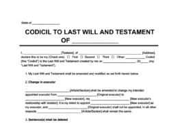 Codicil to last will and testament form