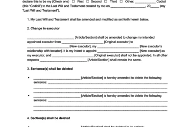 Sample of a codicil form to amend a last will and testament