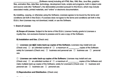 End User License Agreement (EULA) Template
