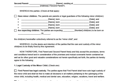 Parenting Plan Template