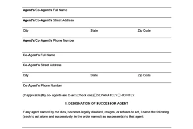 Florida Power of Attorney Form