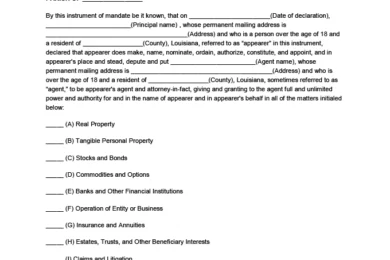 Louisiana Power of Attorney Form