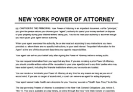 New York power of attorney