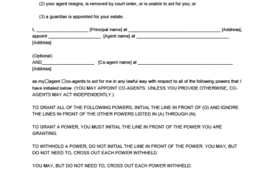 Texas power of attorney form