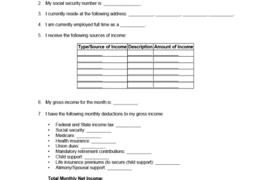 Financial Affidavit Form