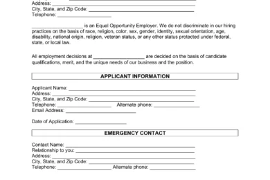 job application template